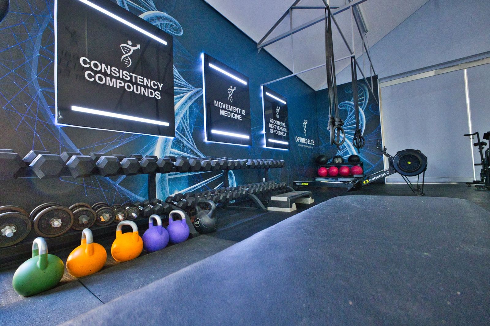 Dumbbell racks, weight plates and a row of coloured kettlebells along the Training Lab's blue DNA mural wall, with a rowing machine, medicine balls and suspension straps behind.