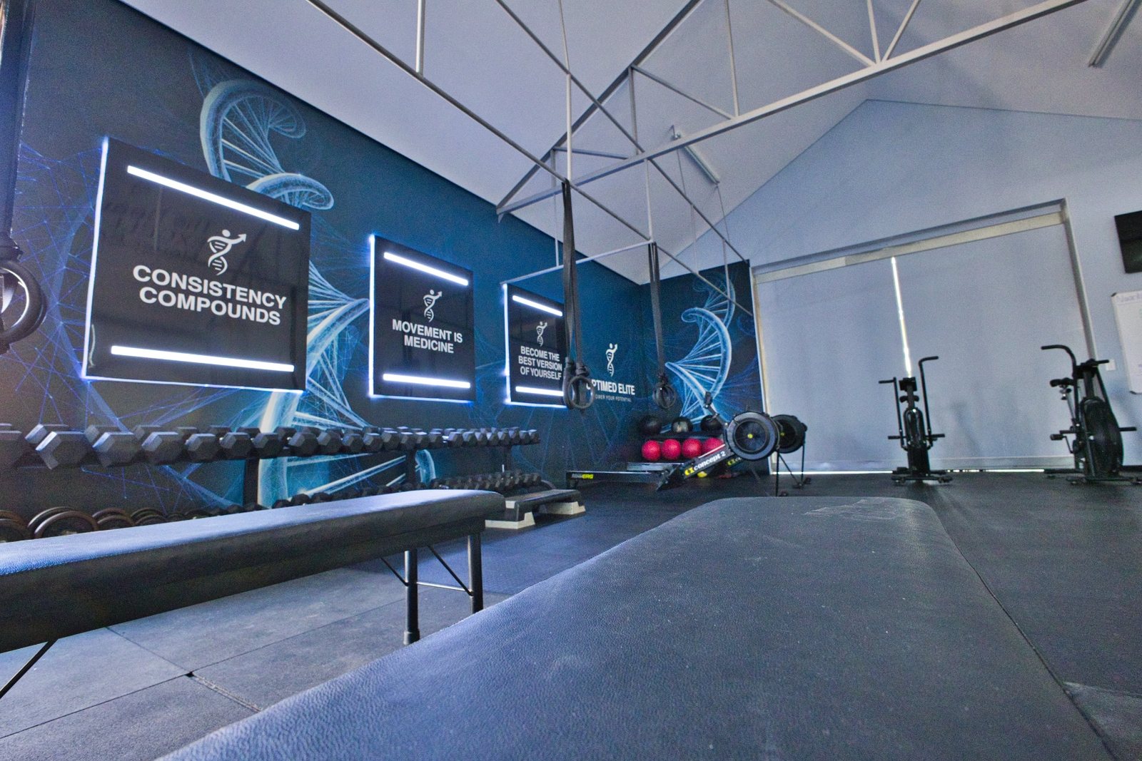 The OptiMED Training Lab from the weights floor — a long dumbbell rack and bench beneath illuminated wall panels reading “Consistency compounds”, “Movement is medicine” and “Become the best version of yourself”, mounted on a blue DNA mural, with bikes and a rowing machine beyond.